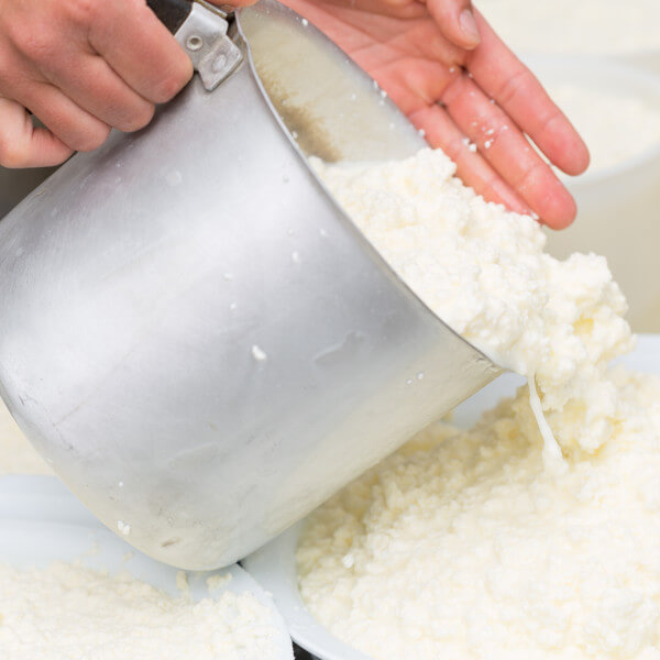 lady pouring curds into bowls